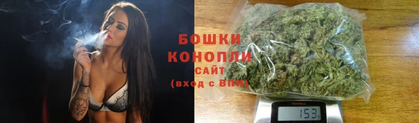 прущий лед Михайлов