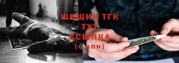 прущий лед Михайлов