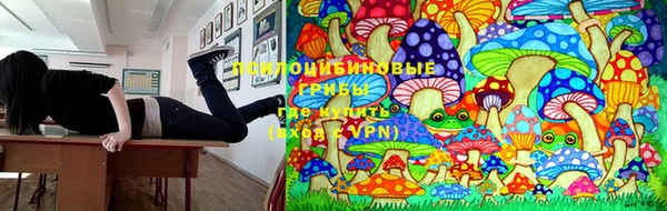 apvp Тихорецк