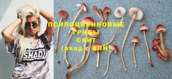прущий лед Михайлов