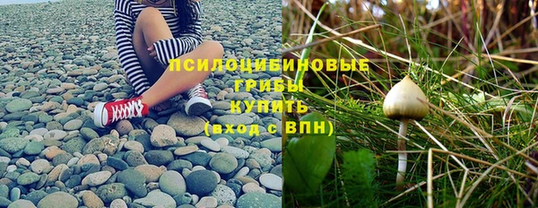 дурь Одинцово